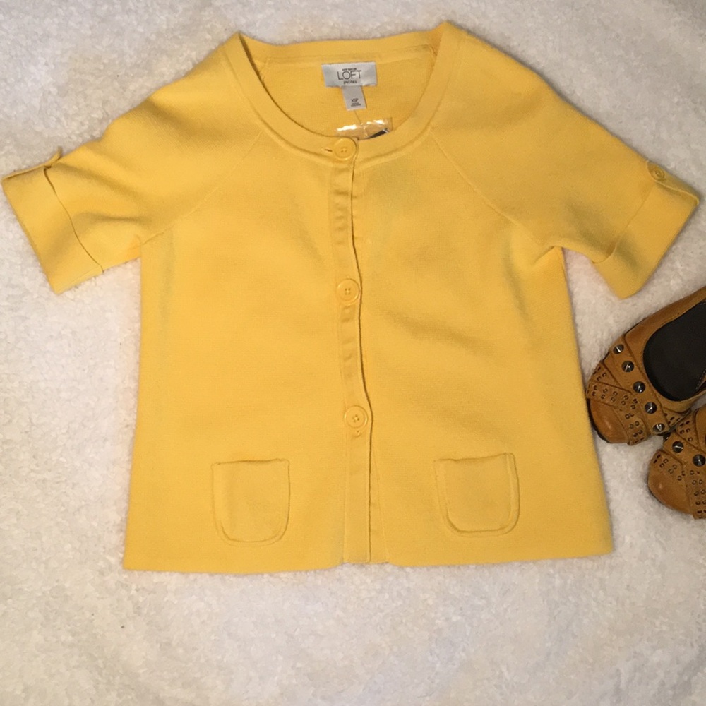Cute Ann Taylor Cardigan Sweater